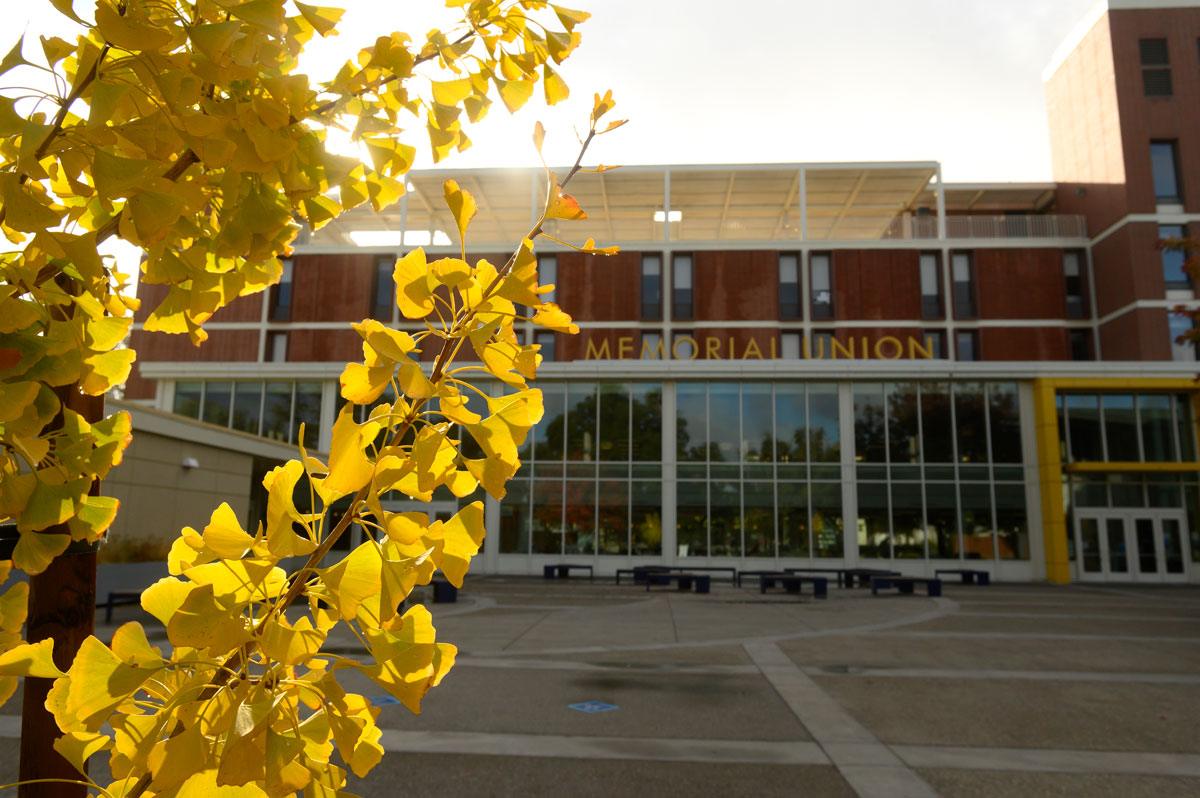 Yellow leaves, Memorisl Union in background