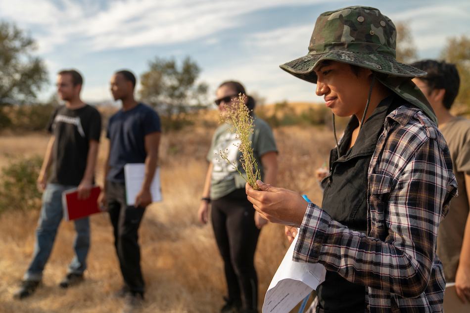 A student stands in a field and looks at a flower in a class outing. 