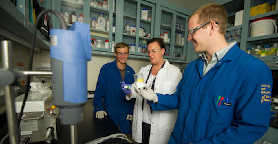 Partners from Baden Aniline and Soda Factory Corp. talk with Professor Jeoh’s Biological & Agricultural Engineering research team in her lab.