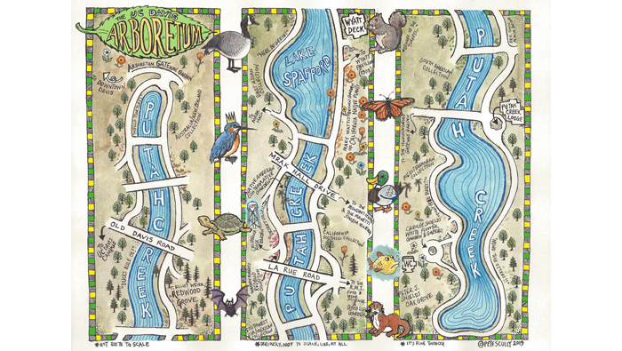 Color illustration of the UC Davis Arboretum map