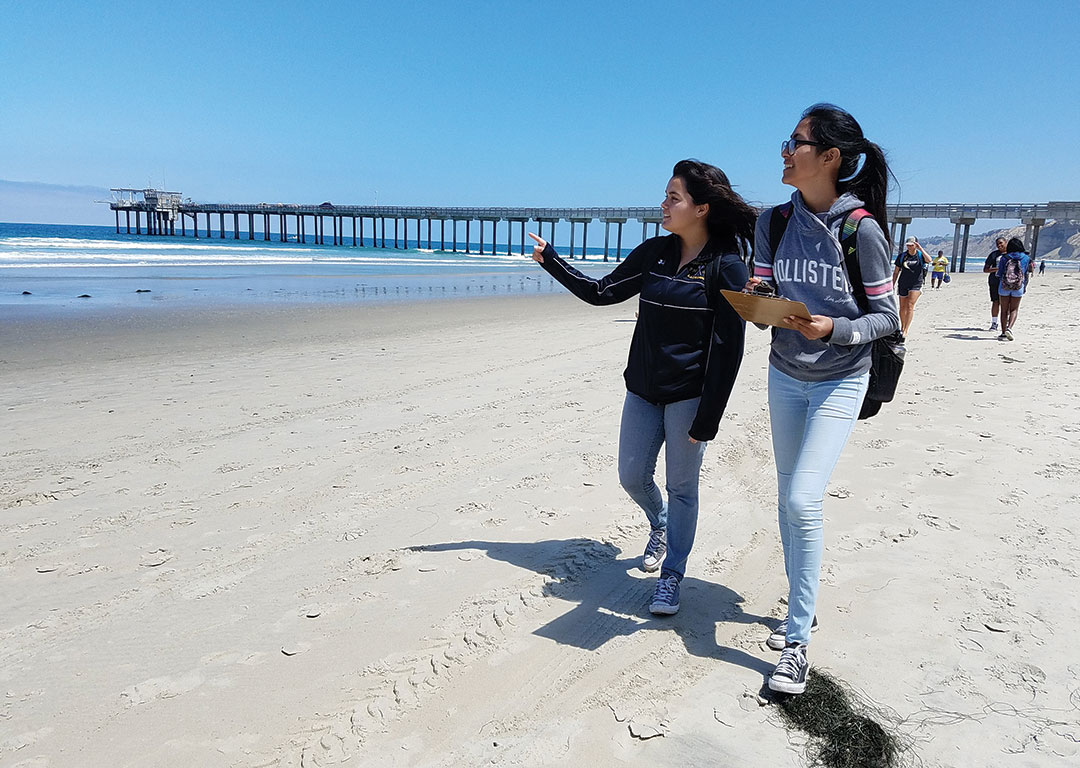 Two women walk on a wide beach overlooking the ocean holding clipboars. One is pointing to something in the water out of the camera frame.