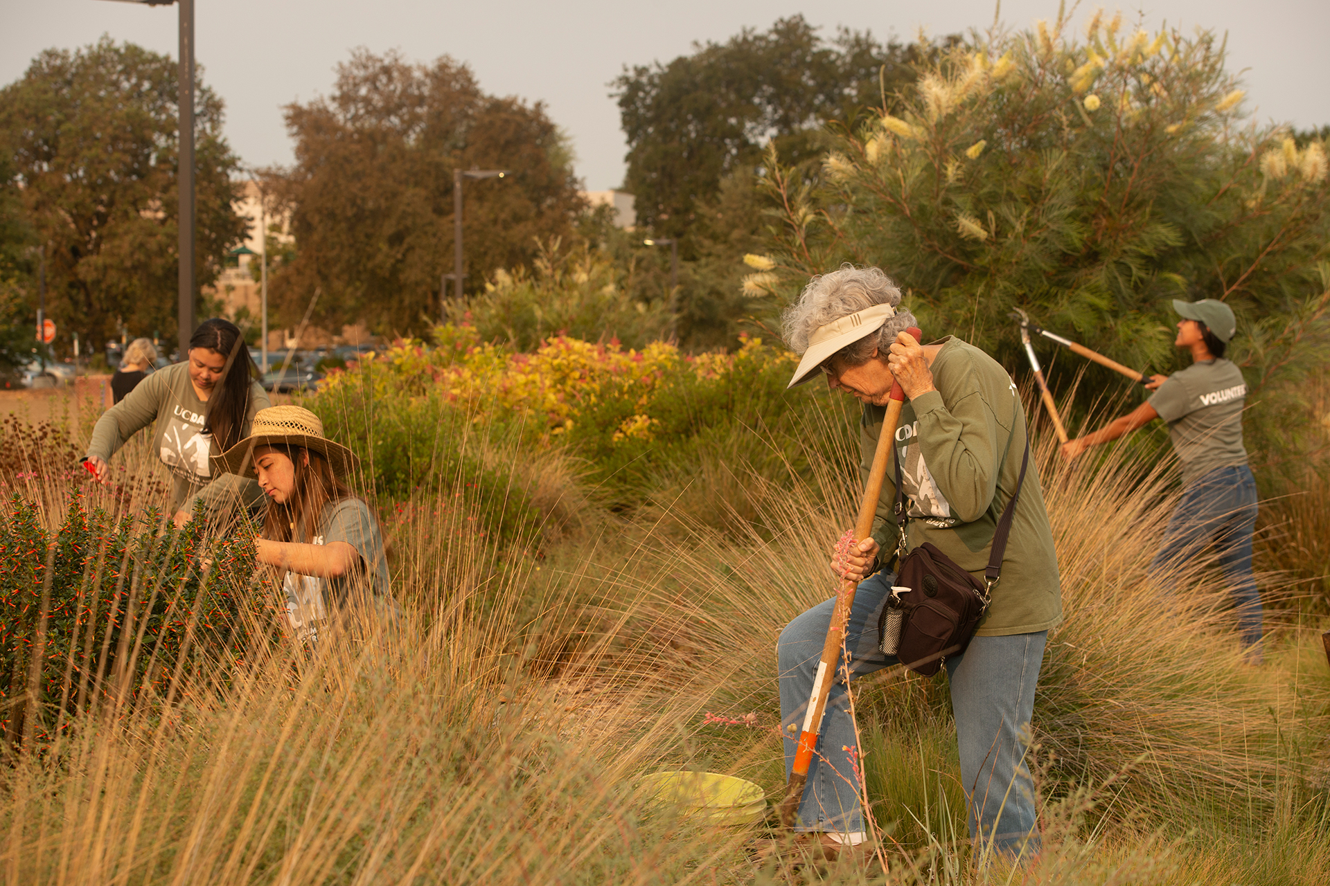 Rachel Davis of the Arboretum work with student intern Elizabeth Hursch, volunteer Jessica Colvin and volunteer Judy Hecomovich in the humminbird garden on August 12. 2021.