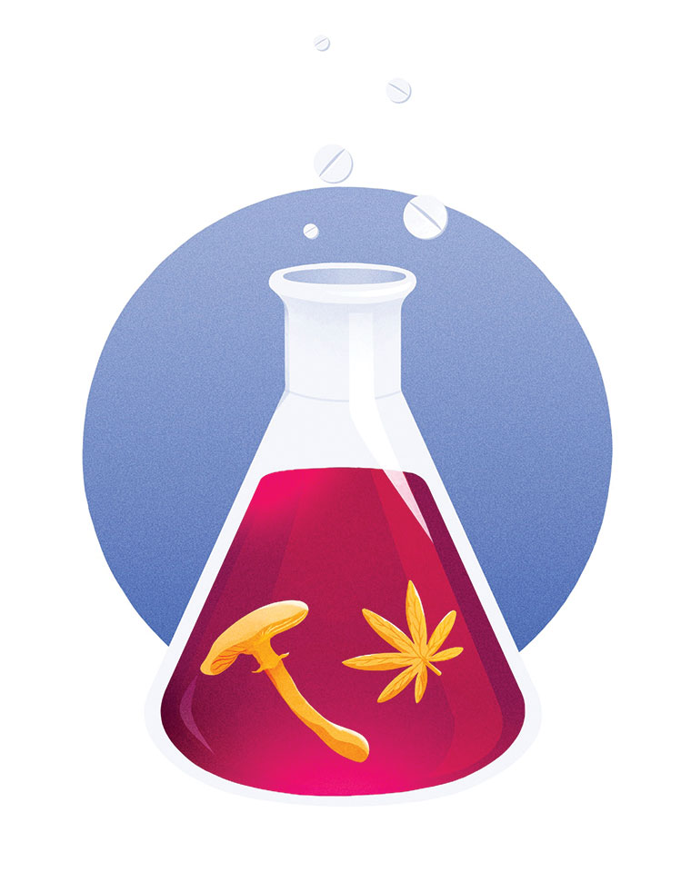 illustration of chemical flask with pot leaf and mushroom