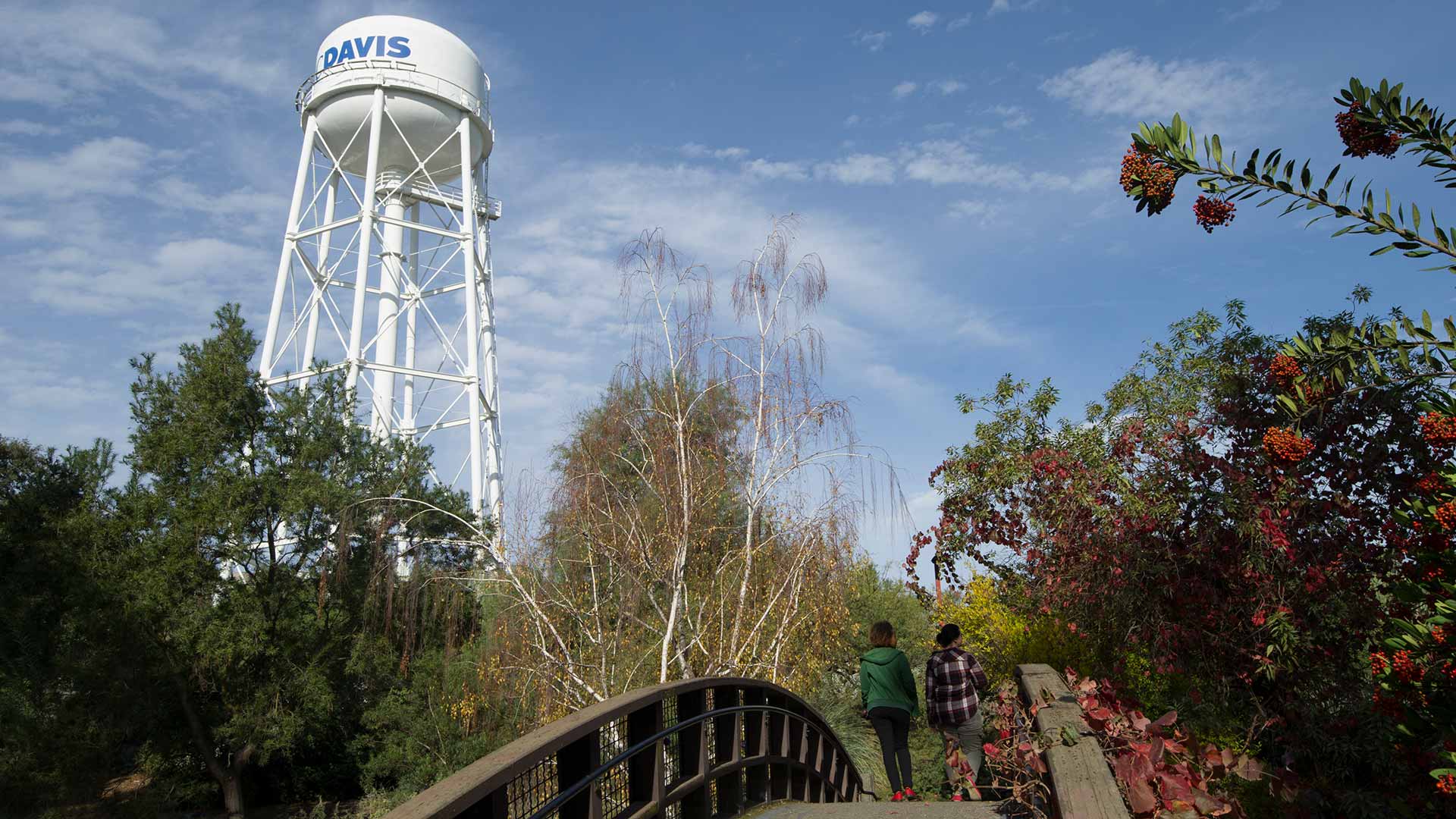 Students in cold-weather clothes walk over a curved bridge in front of a UC Davis water tower.