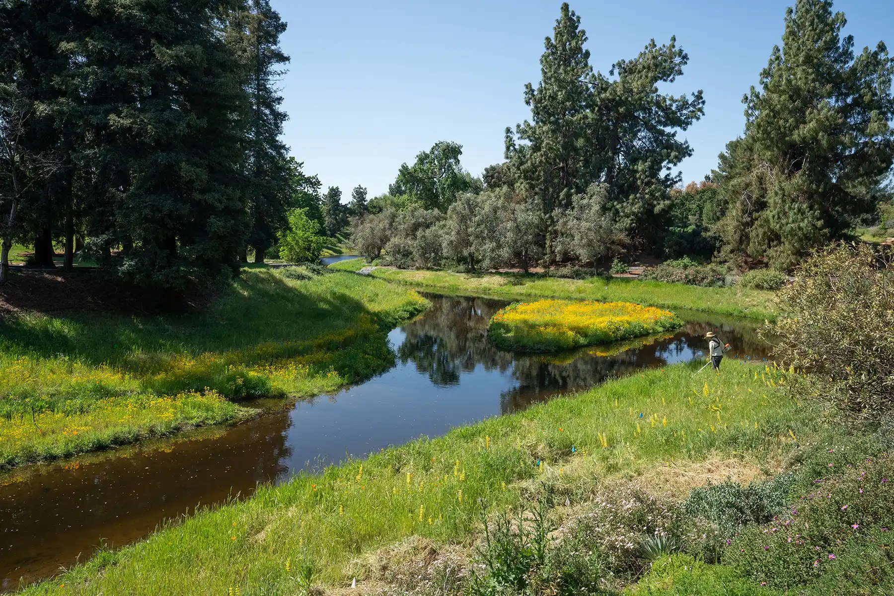 Calm stream winding through green meadow with yellow wildflowers and trees under blue sky