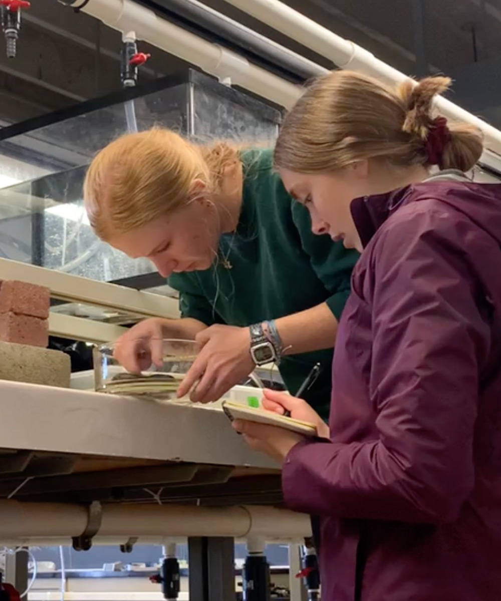 Undergraduates work in a lab inside the Bodega facility