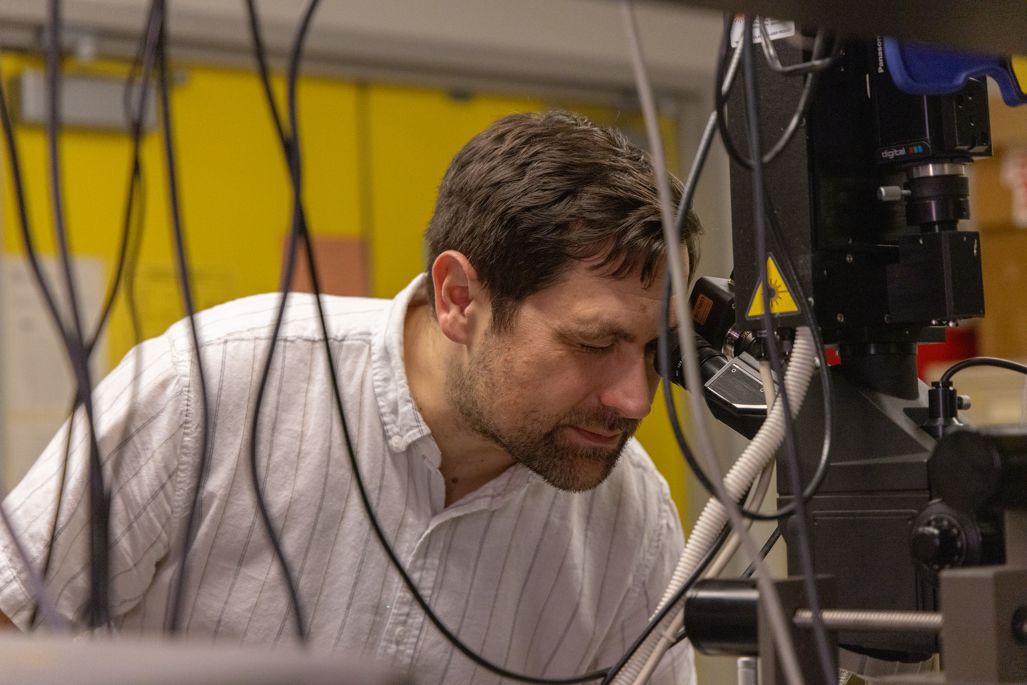 Sebastian Gomez-Diaz concentrating on microscope amid dangling cables in a yellow-walled lab