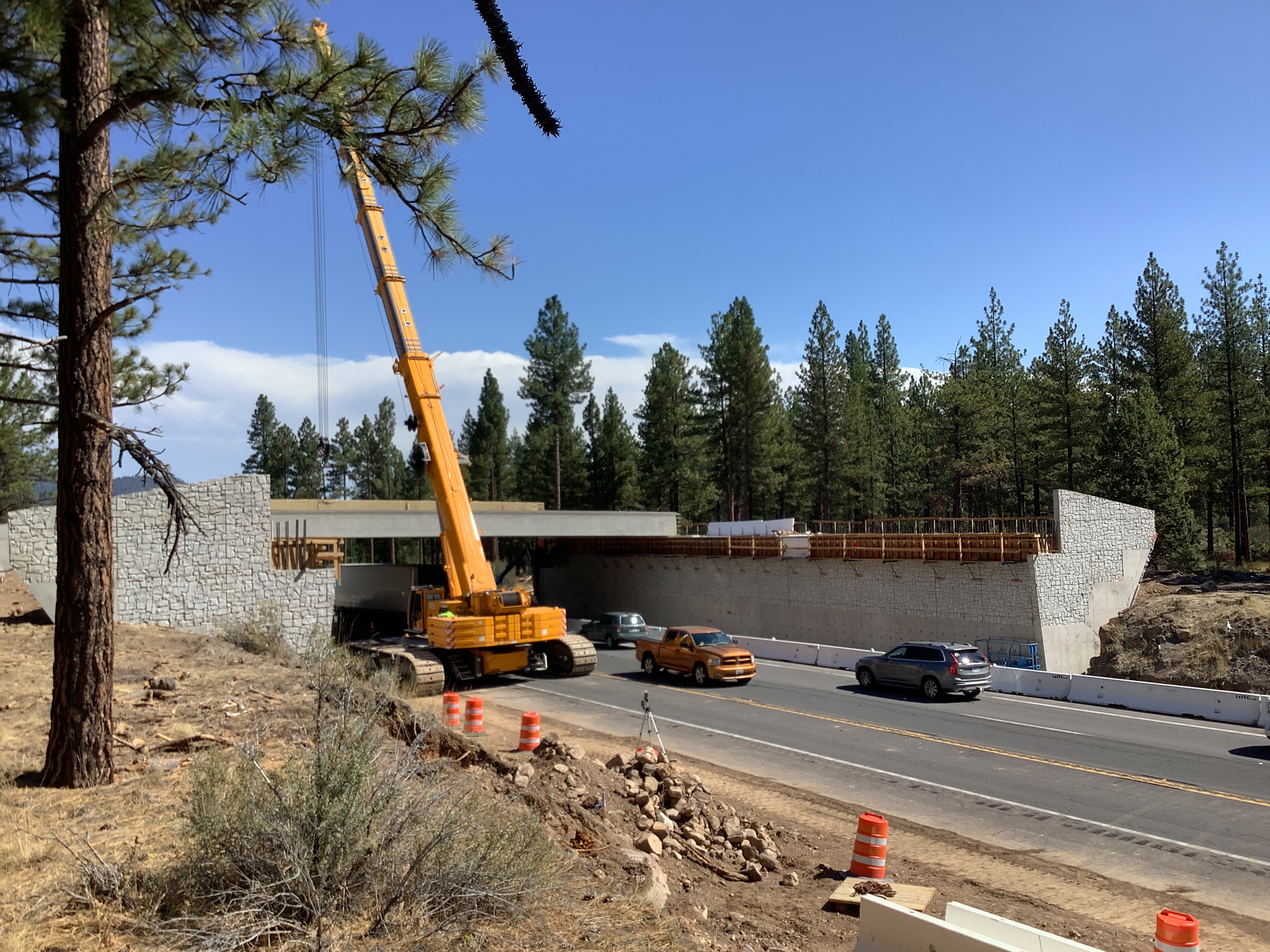 Concrete bridge under construction over highway, yellow crane and vehicles, pine forest.