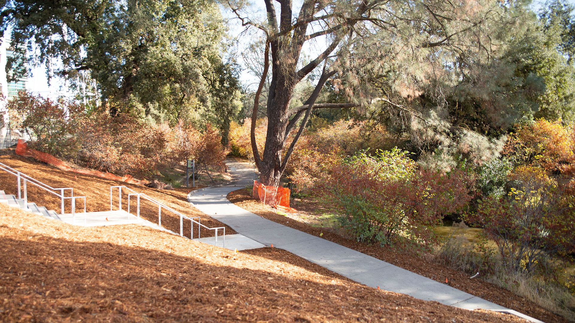 Photo of a concrete path through a wooded area, with a concrete stairway rising from it perpendicular to the path.