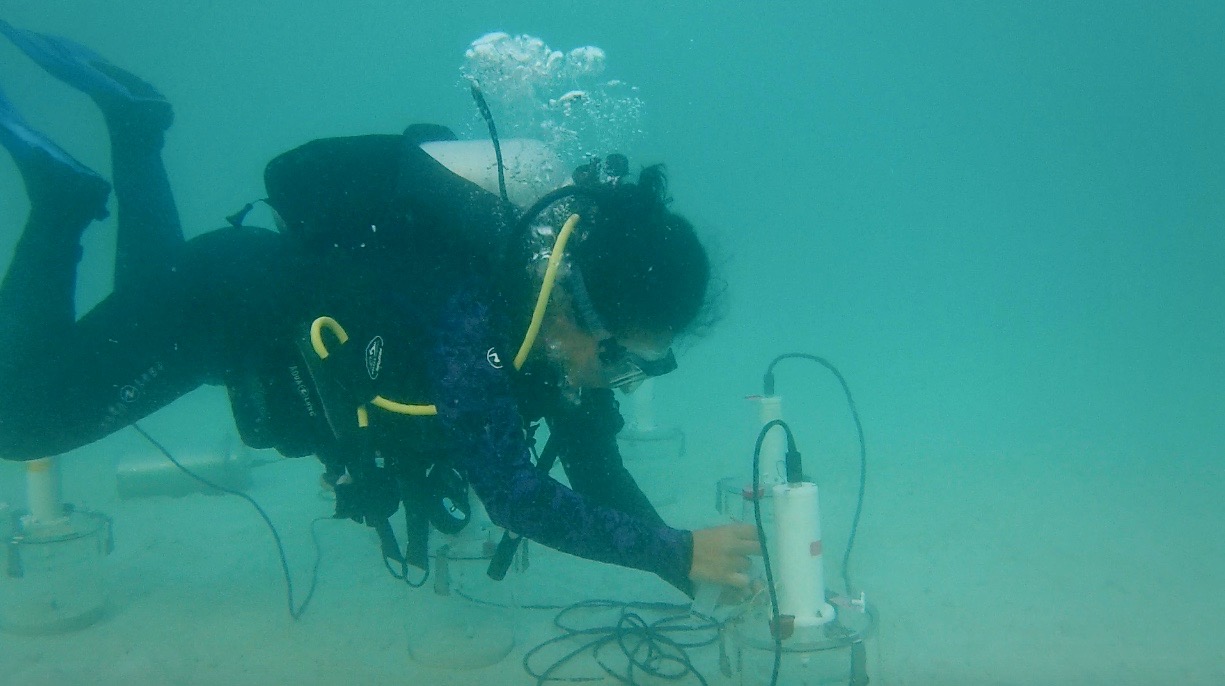 Woman scientist SCUBA diving during field work