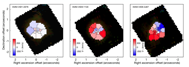 Three scientific heatmap panels: circular red-blue activation maps on black squares with contour outlines