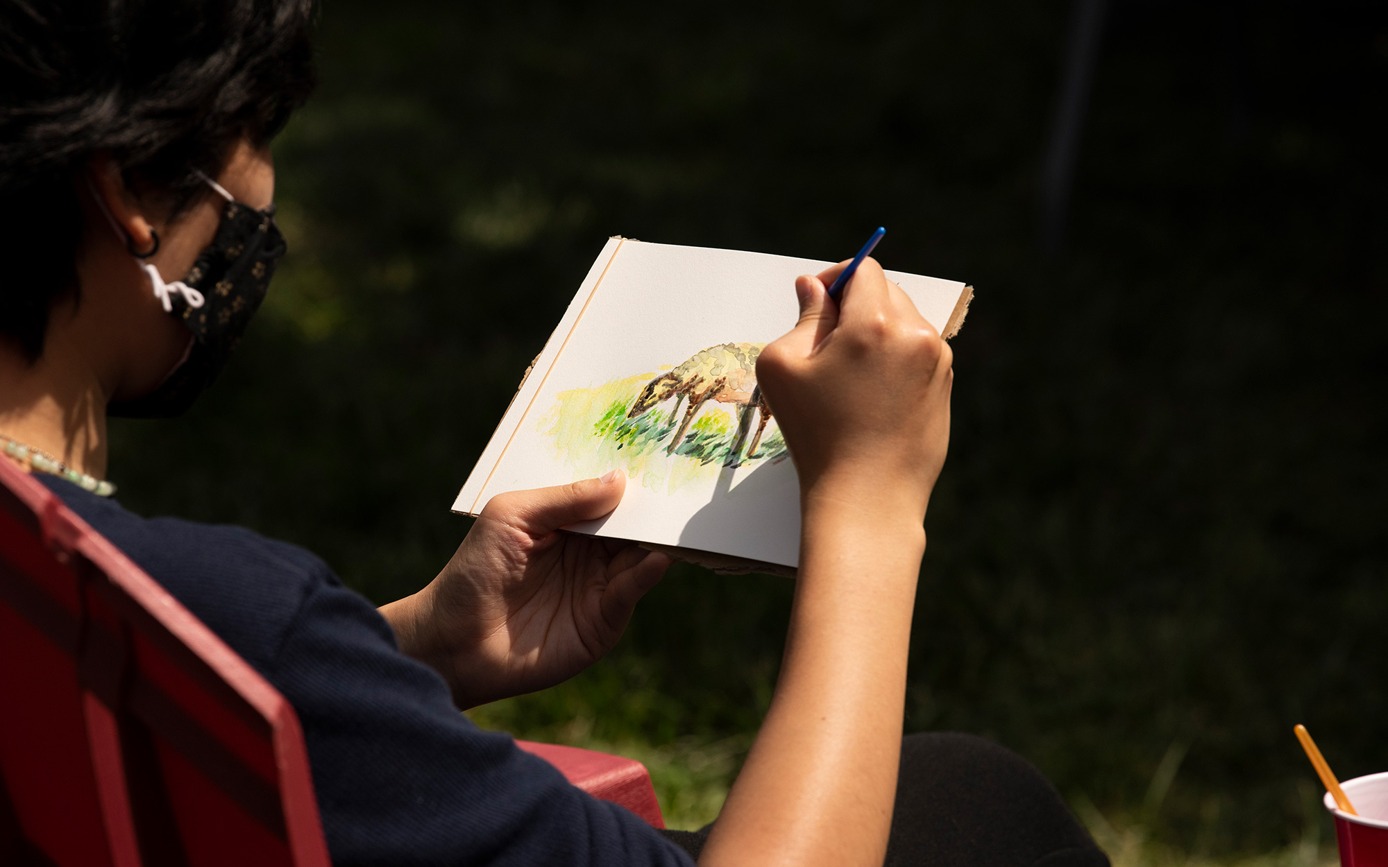 A student draws sheep on campus