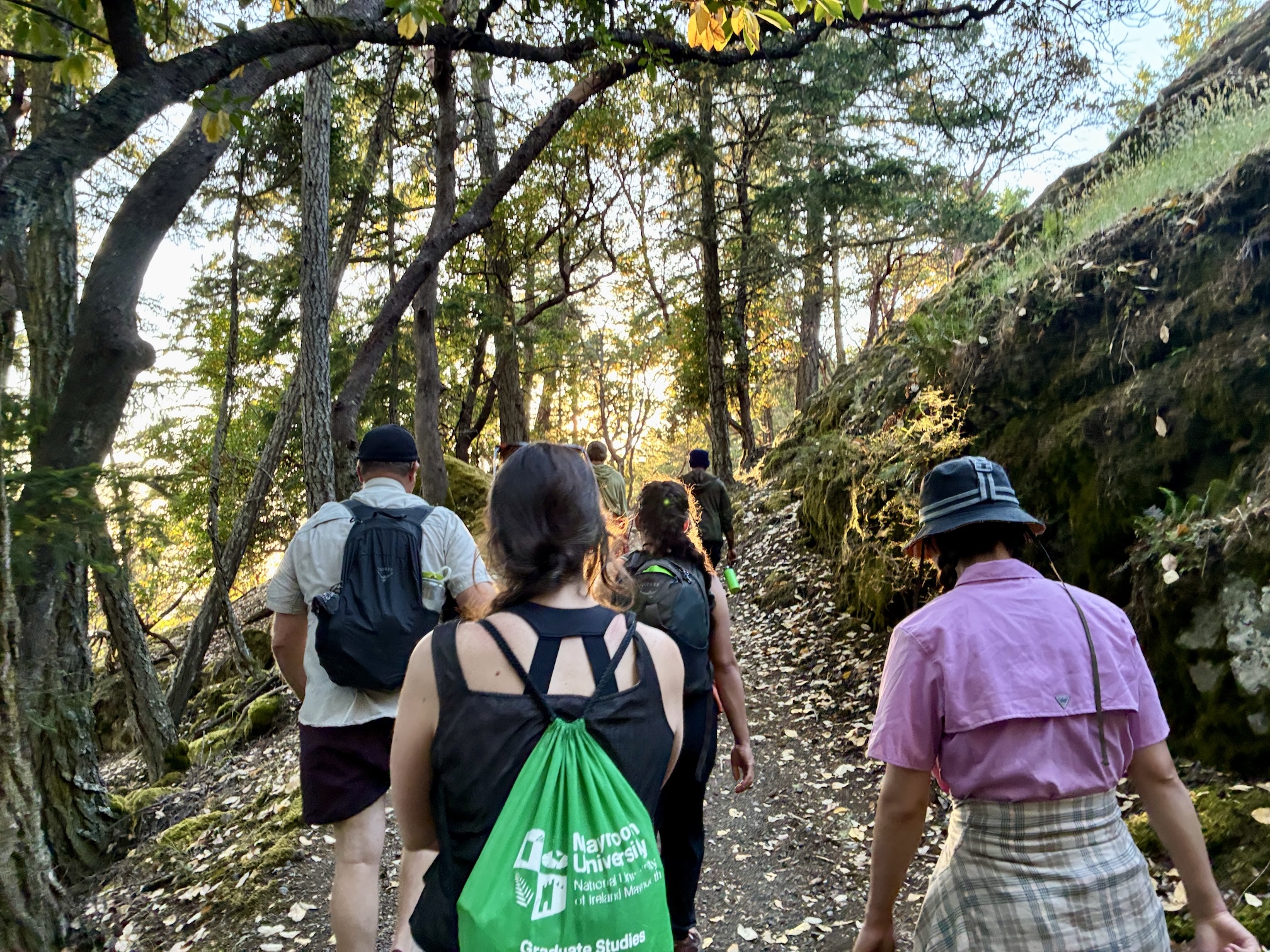 Group of hikers walking on sunlit forest trail, backpacks and dappled light.