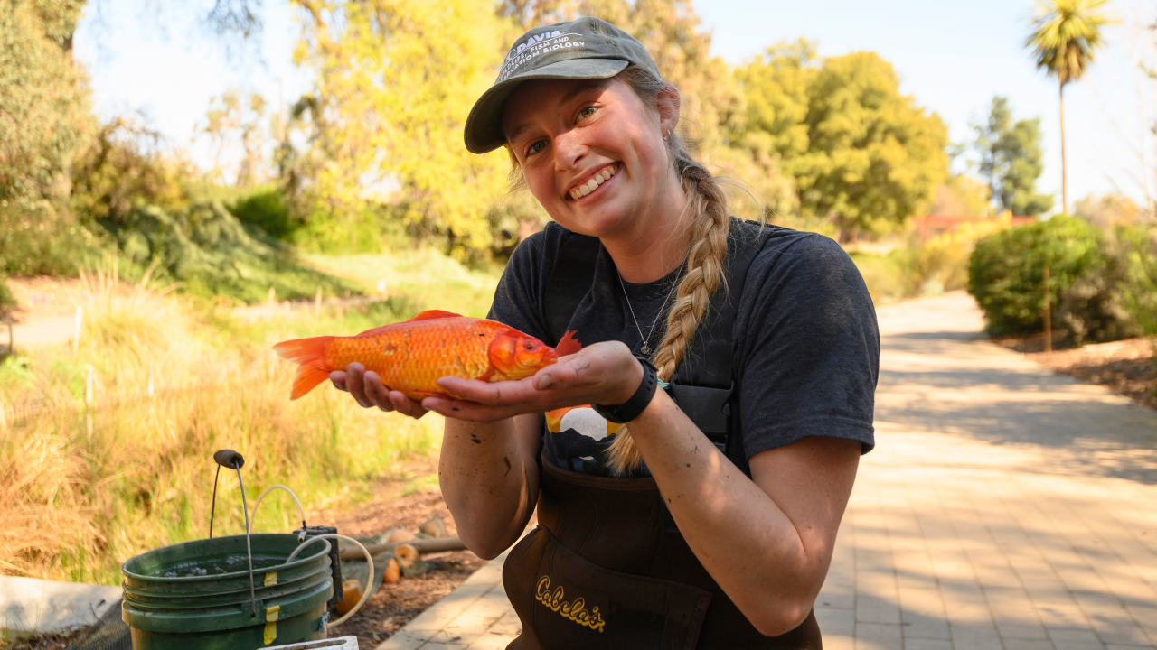 Rachel McConnell holds the large goldfish caught  during a carp research project in the Arboretum Waterway.