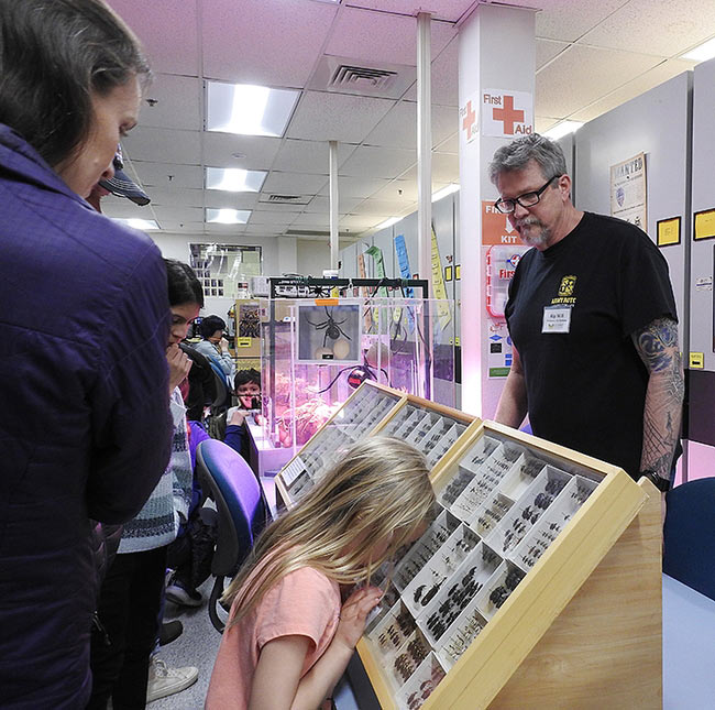 Child peers into display case