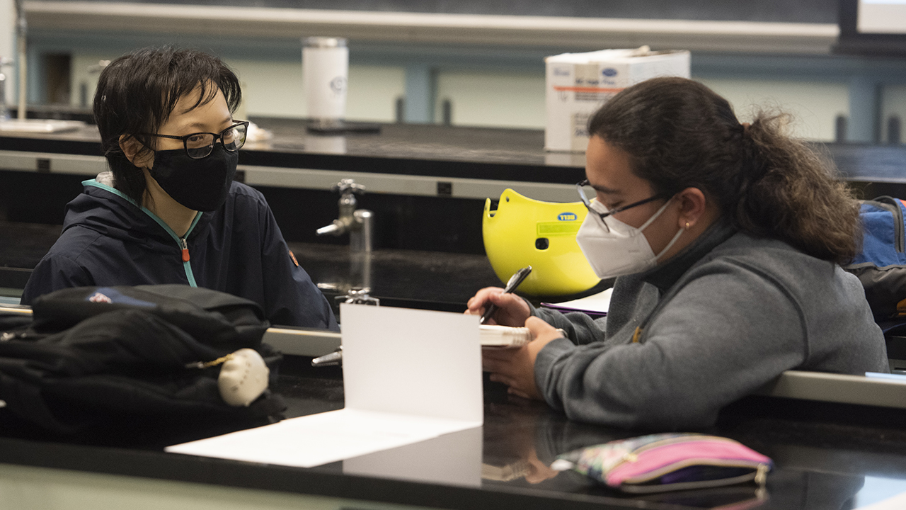 Two female students face each other as they work on a project