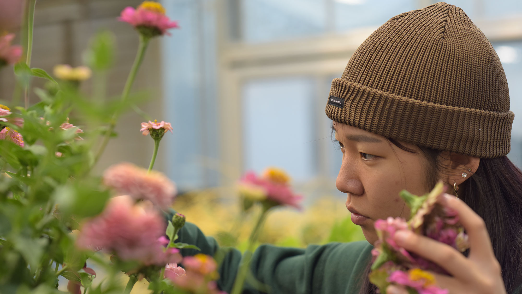 Young person in brown beanie focused while tending pink flowers in greenhouse — photo