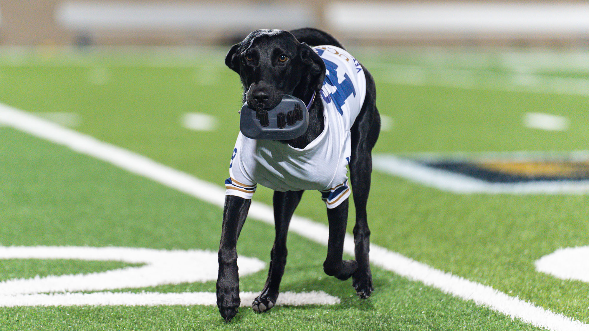 Cori runs across the football field while carrying the tee.