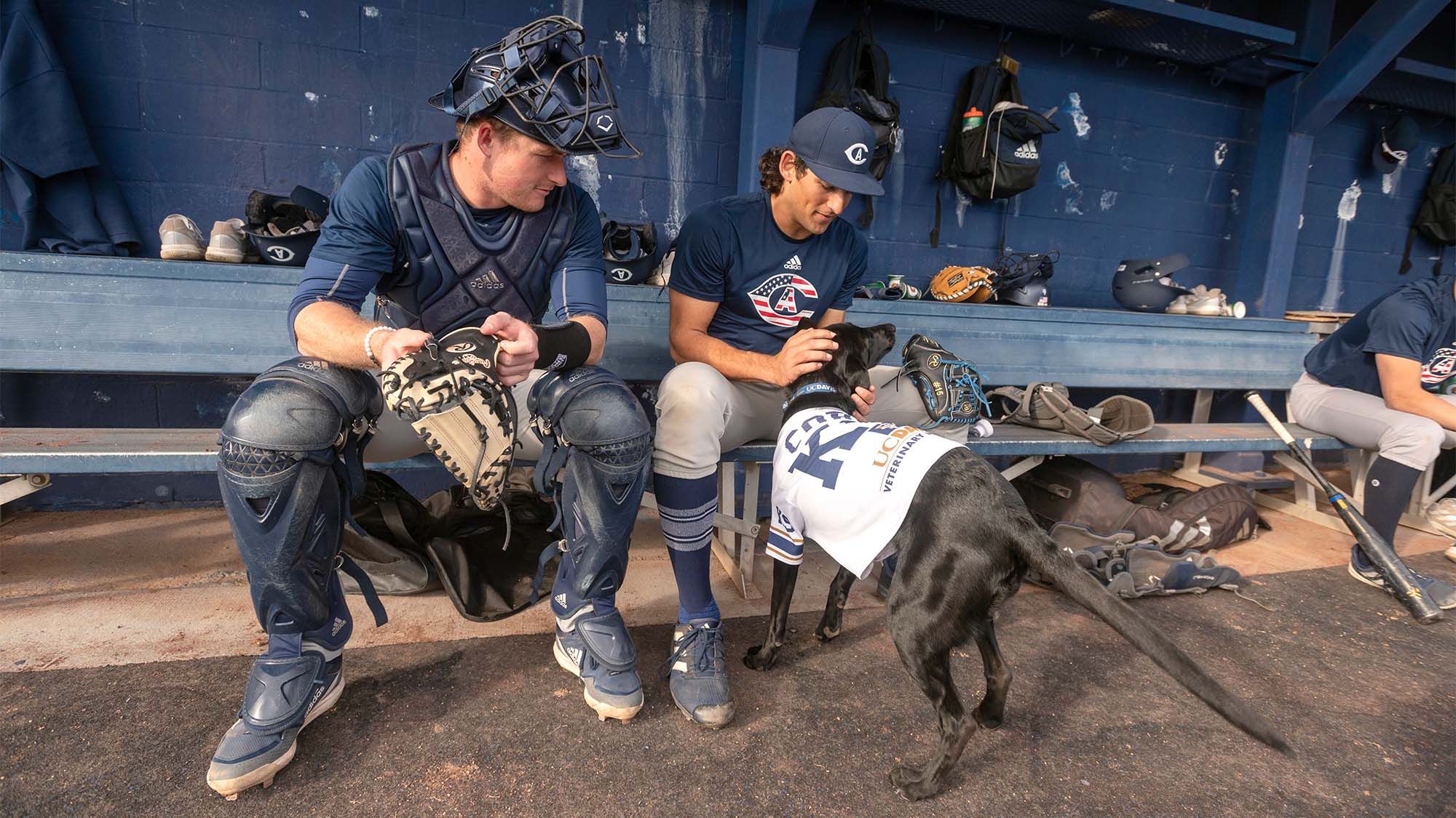 Baseball players pet Cori