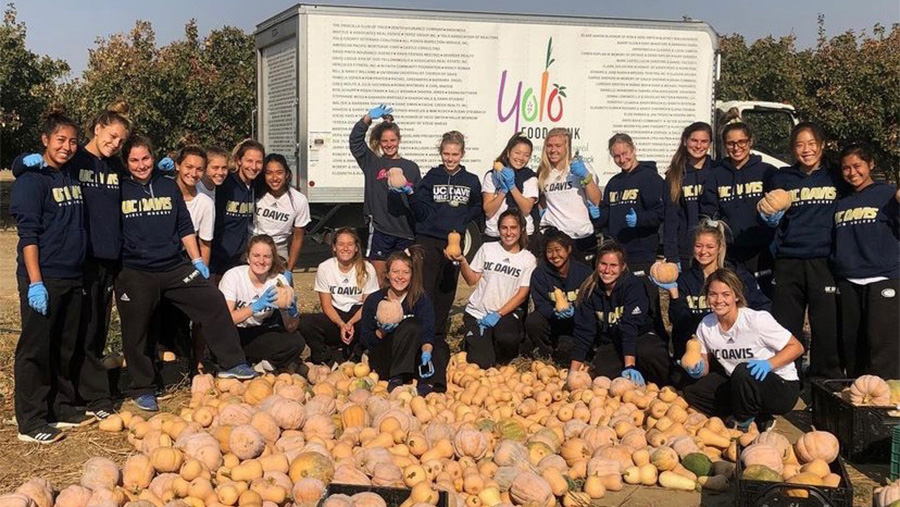 Members of the field hockey team volunteer with the Yolo Food Bank.