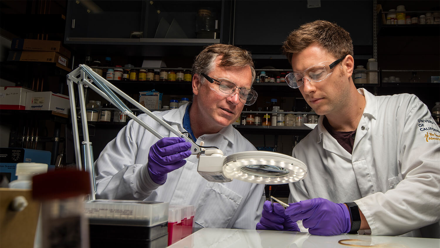 Glendon Parker, Adjunct Professor in Environmental Toxicology and Zachary Goecker, a PhD student examine hair samples in a lab in Meyer Hall.