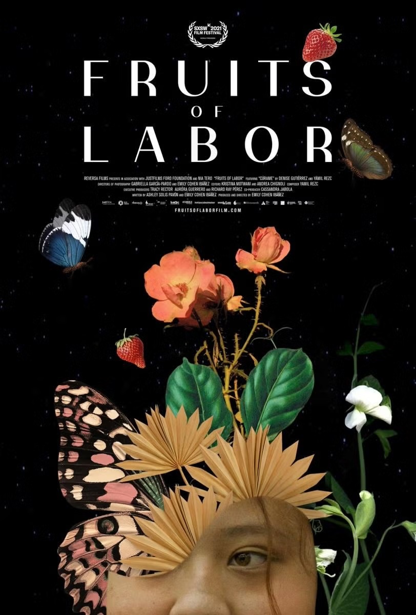 A collage poster featuring a girl's face surrounded by flowers, butterflies, and stars.