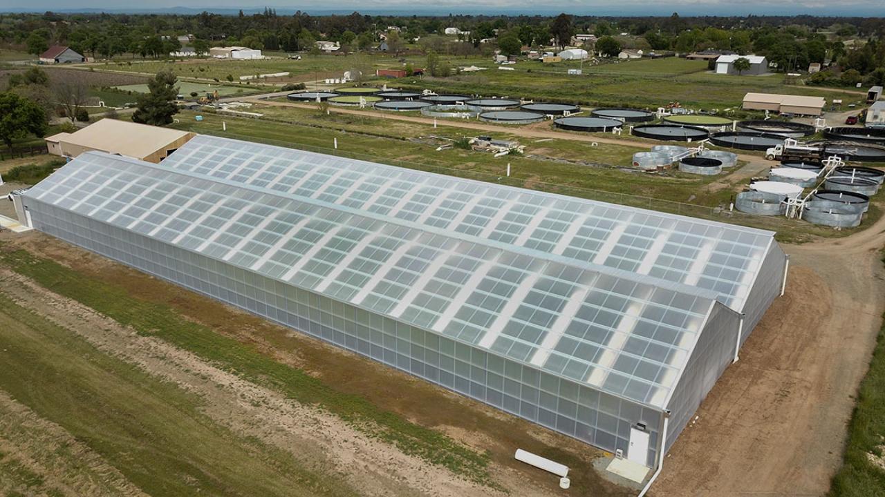 aquaculture greenhouse