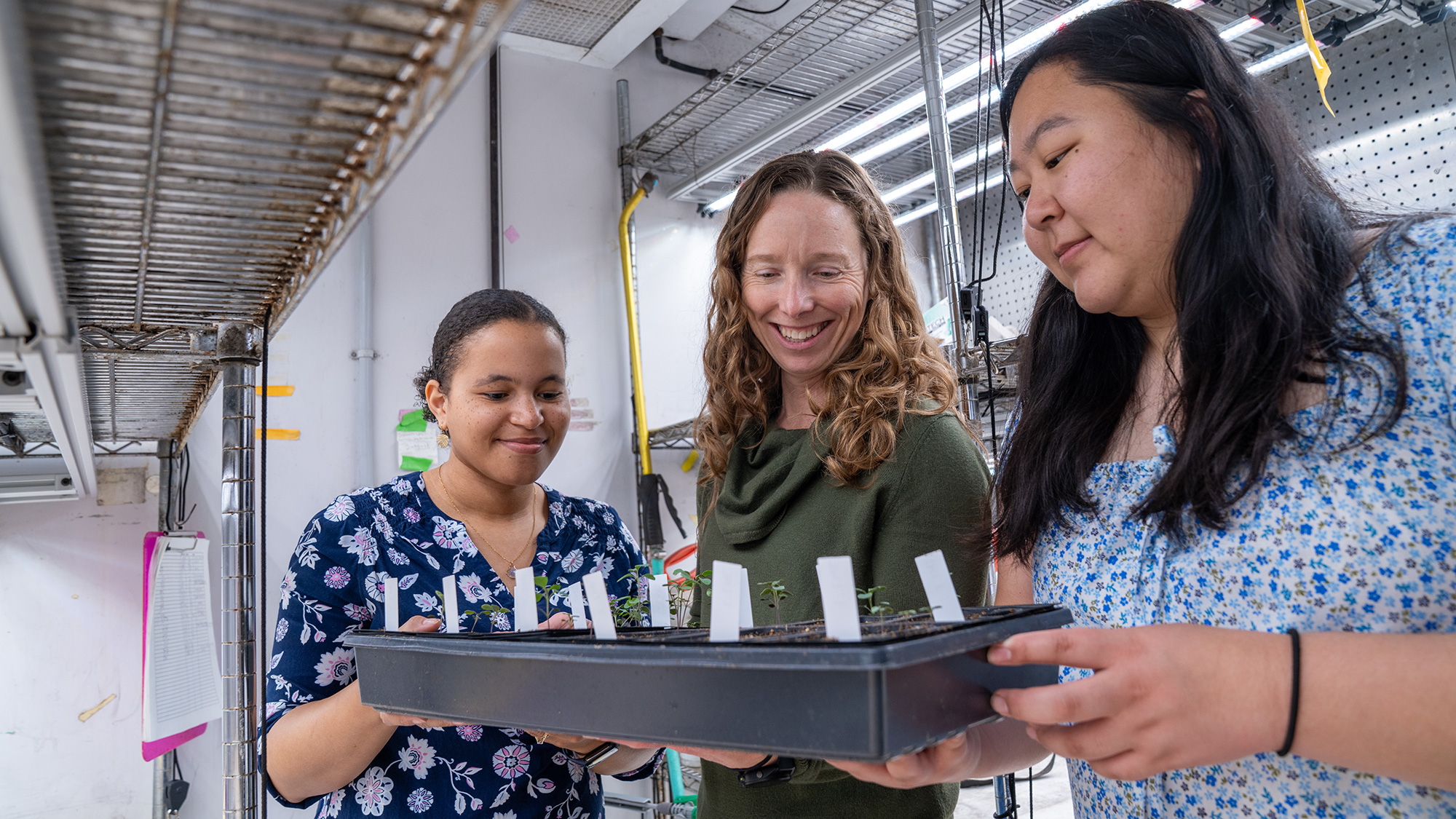 Three smiling women in a greenhouse examining a tray of seedlings