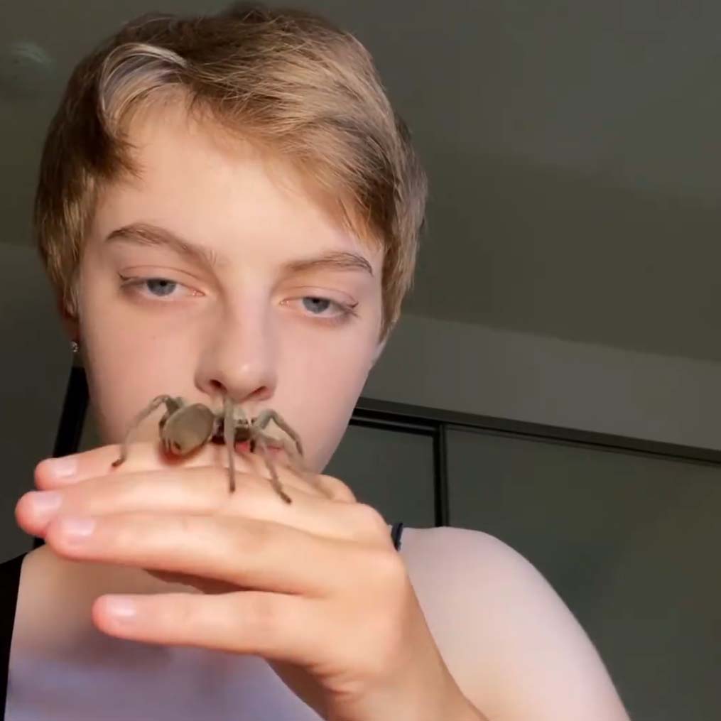 Student holds large spider on her hand