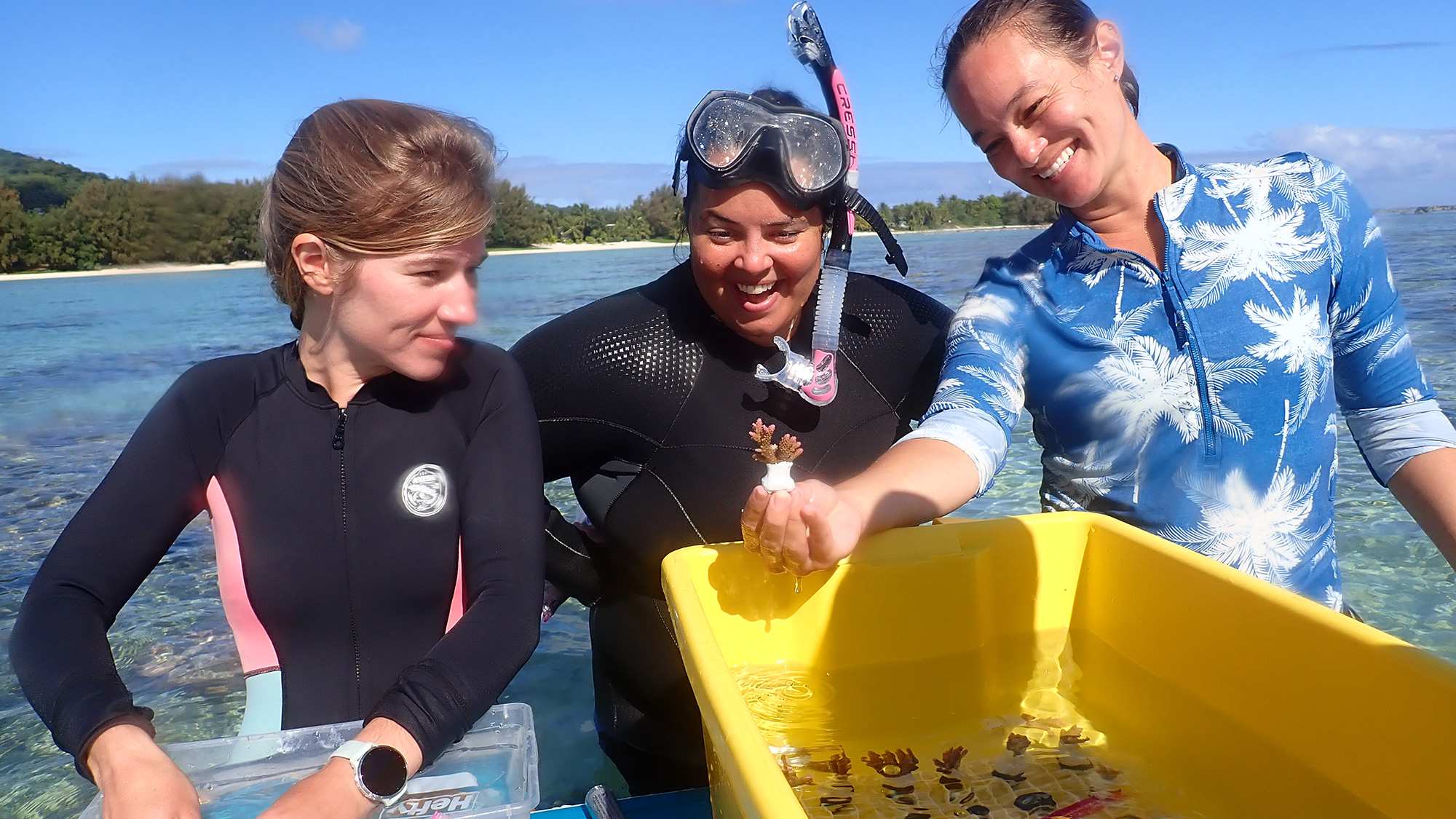 Three people who have just been swimming in the ocean