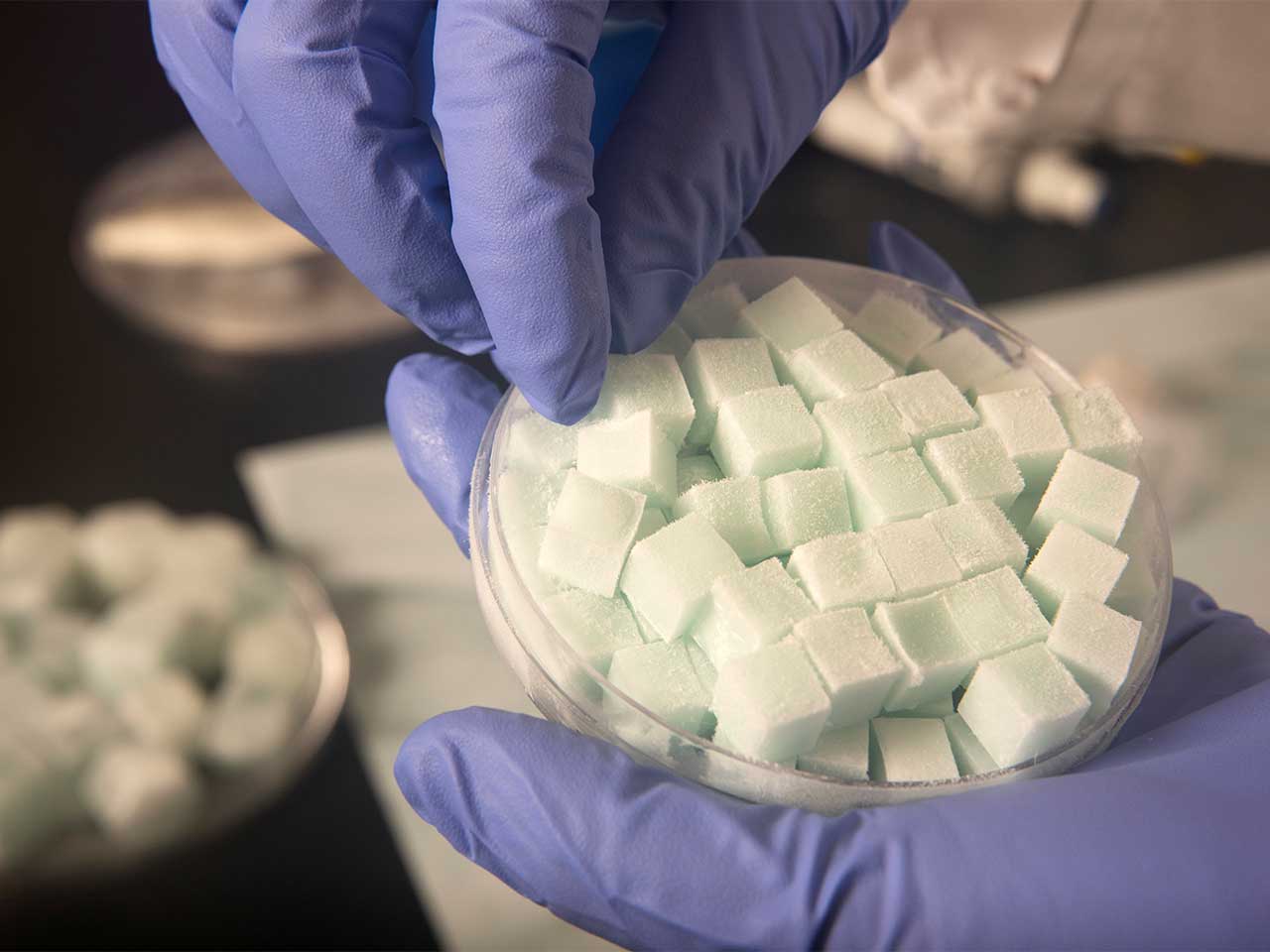 Ph.D. student Jiahan Zou presenting new biodegradable jelly ice cubes, in what looks like a petri dish, developed at UC Davis.