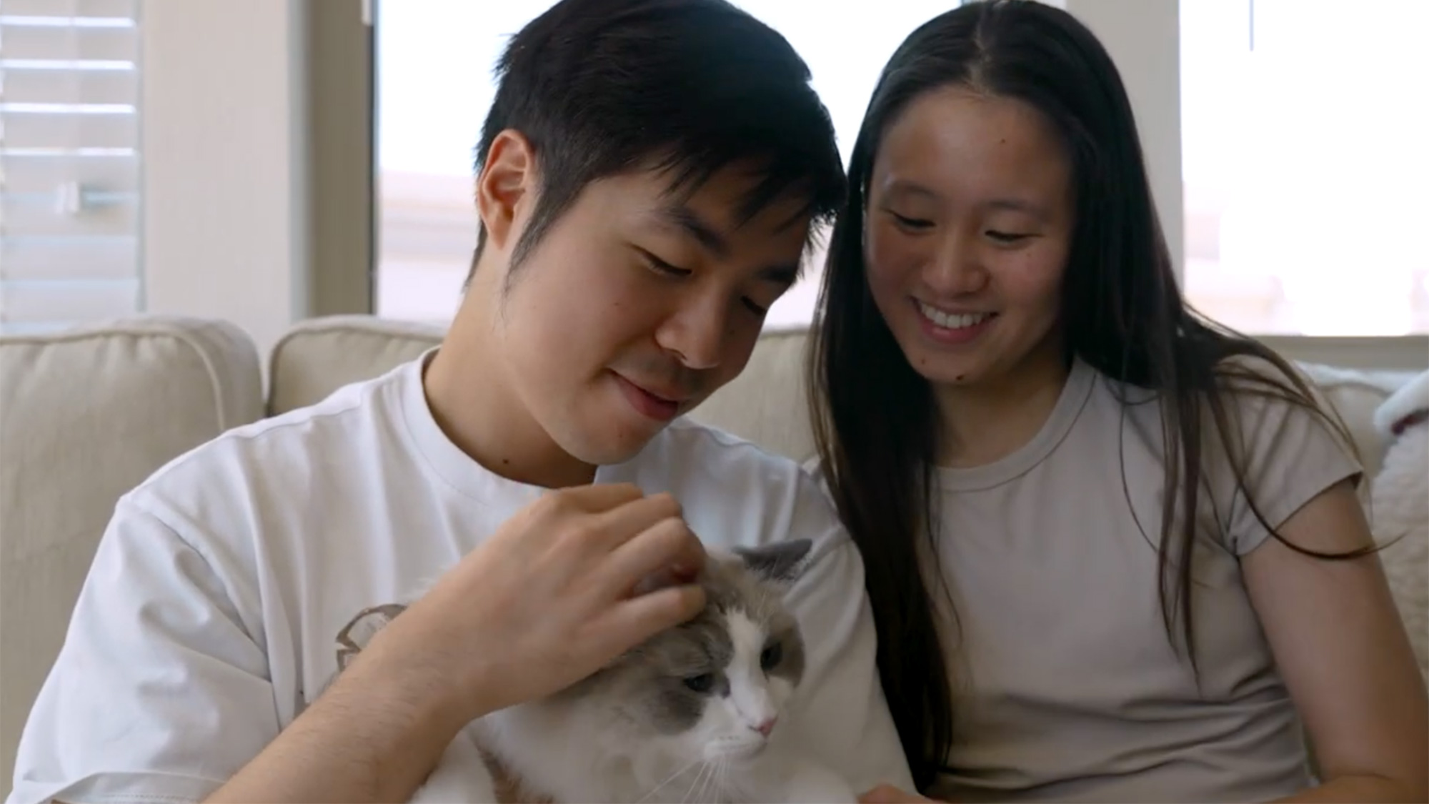 Two people scratch cat's head