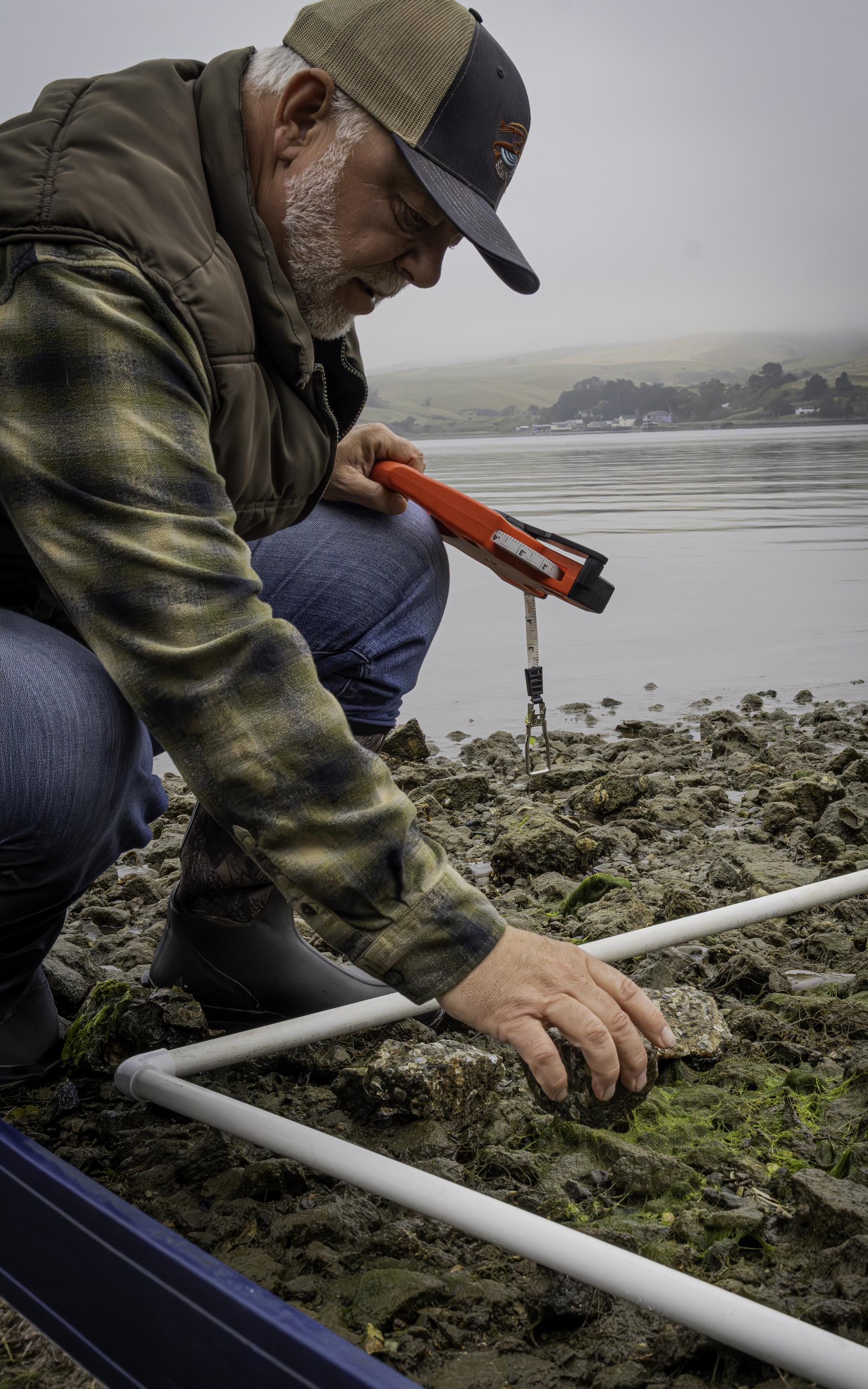 Karl Menard crouched on rocky shore by oysters with a PVC quadrat and orange tool
