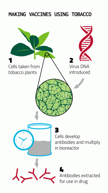 diagram showing information about vaccines