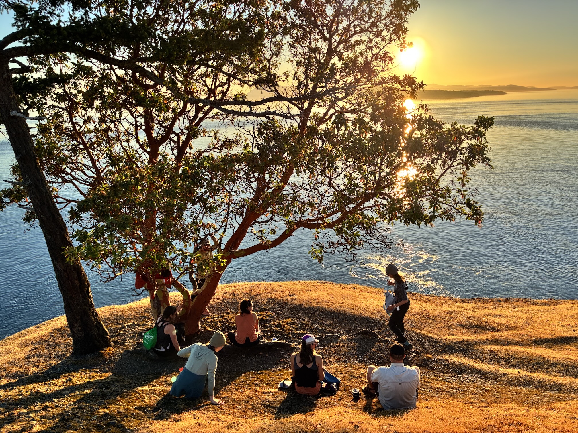 Group of people sitting on a grassy bluff under a tree, watching sunset over reflective water