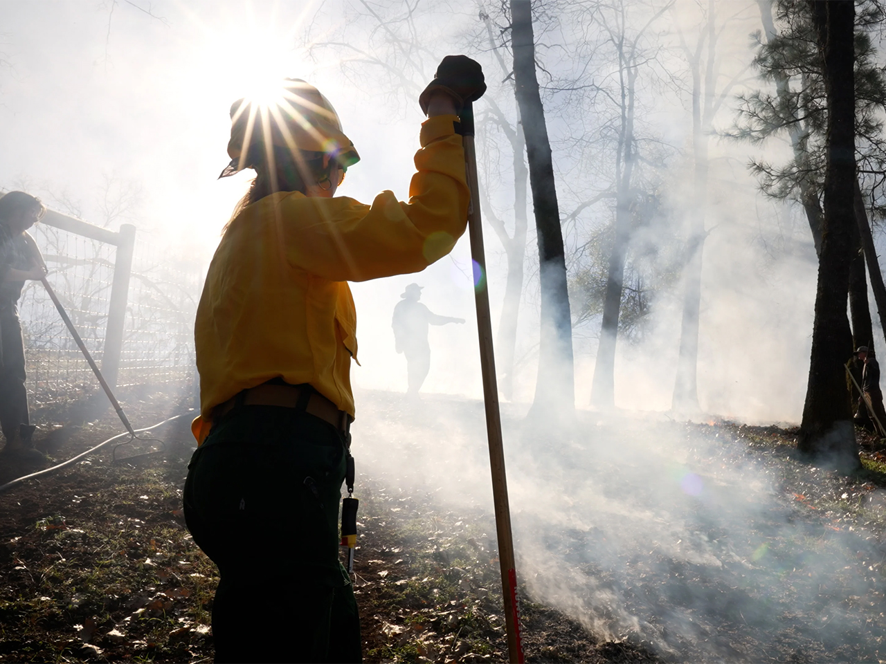 Sunlight shines over the helmet of a woman in firefighting yellow shirt amid smoky woods during a prescribed burn