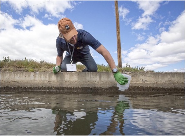 Person in a blue shirt and cap collecting water samples from a calm body of water. 