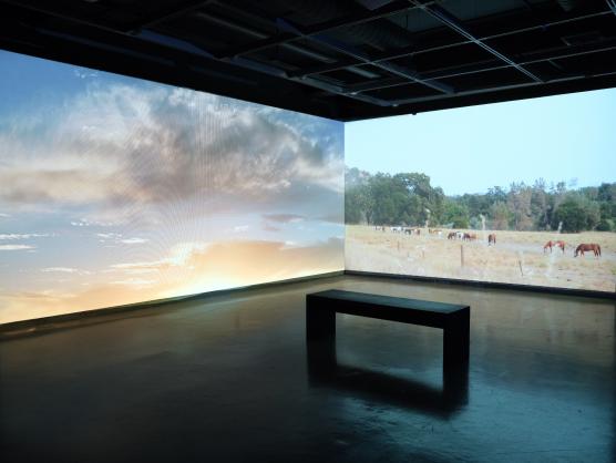 Sonic Horizons showing projection of nature on walls, 2024 (Maral Salehian)