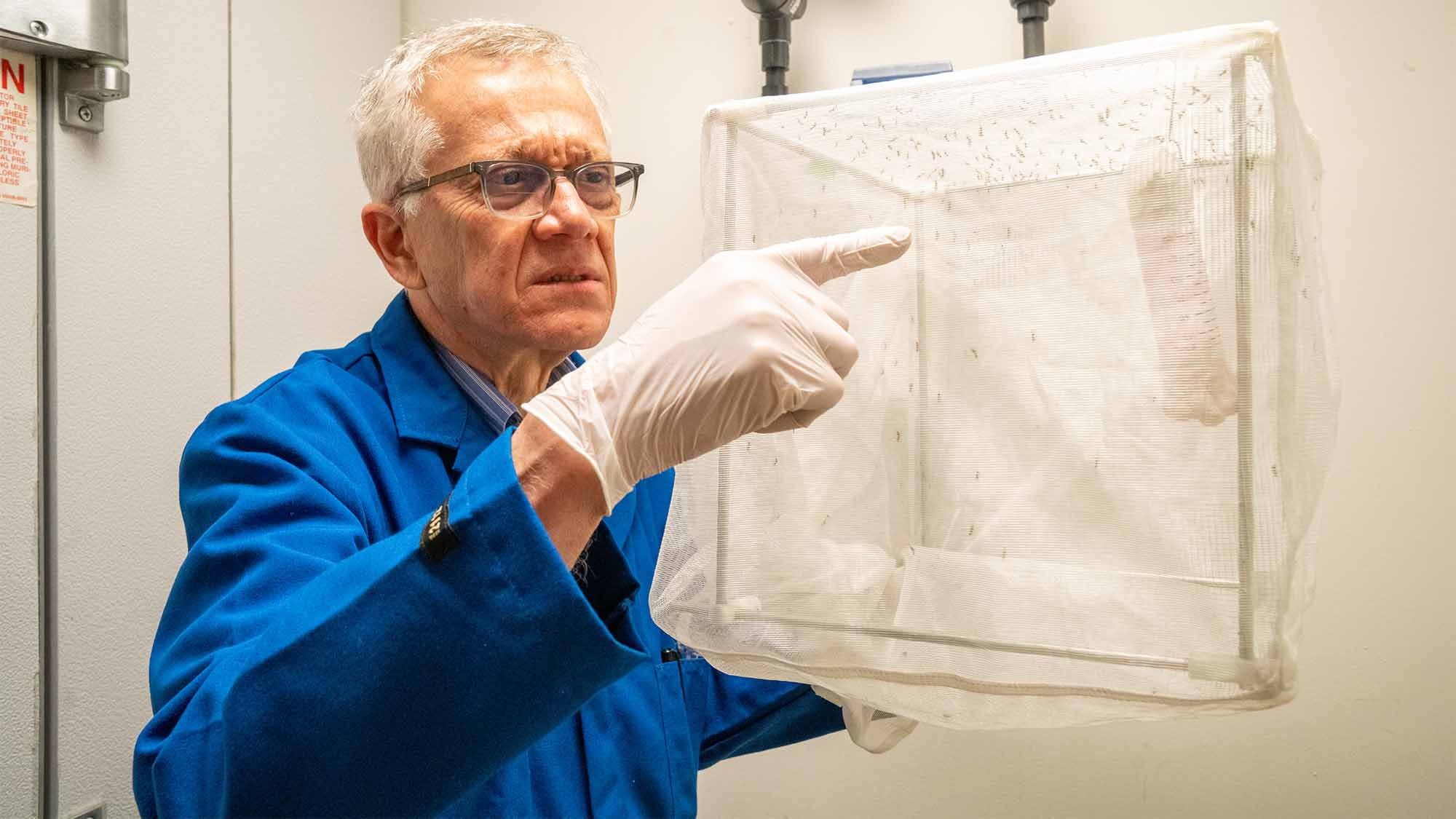 Walter S. Leal examines container of small insects