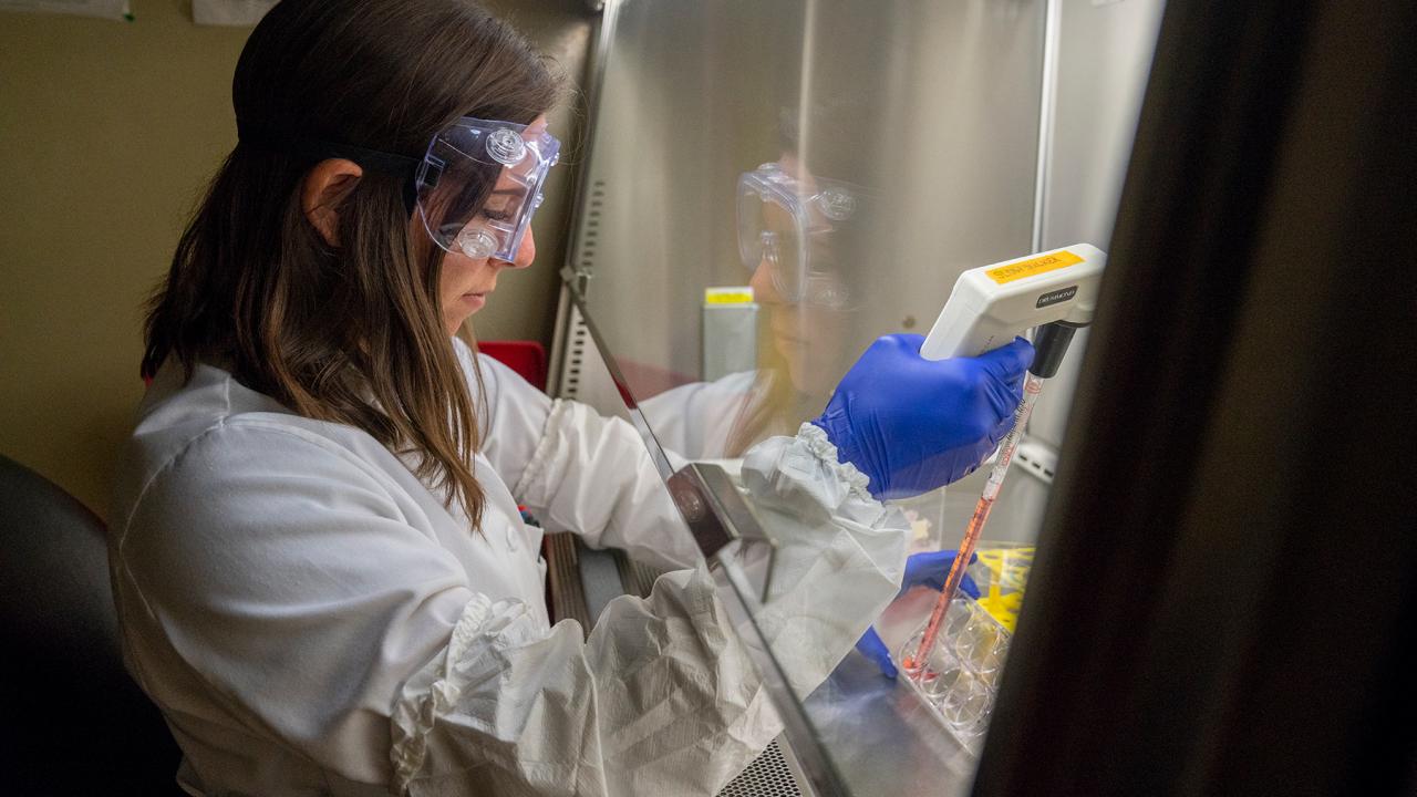 Whitney Cary observing stem cell