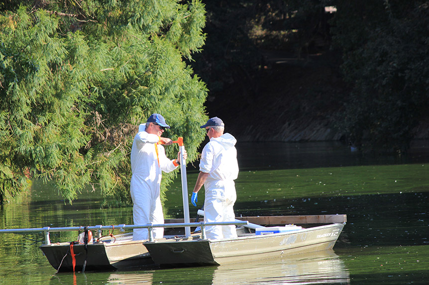 Boat in Lake Spafford