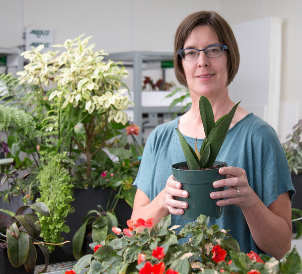 Stacey Harmer stands amid plants.