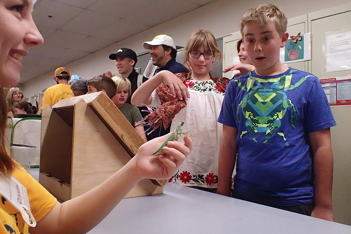 Child reacts to praying mantis