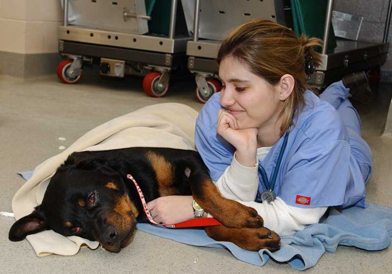 Student lies next to dog.