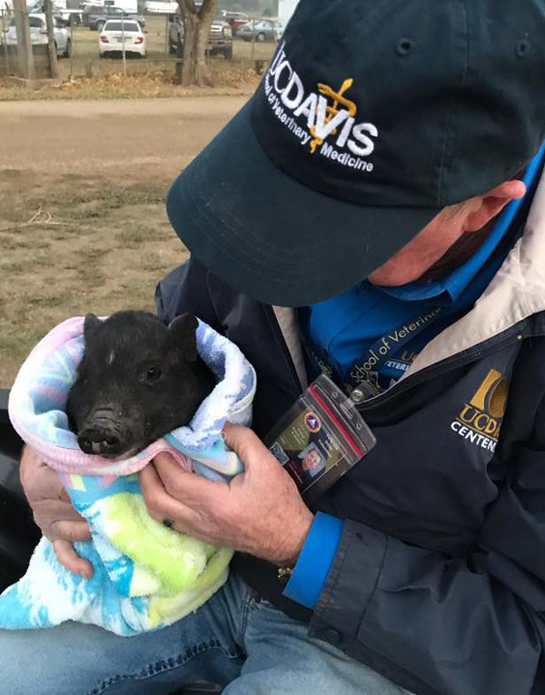 John Madigan holds piglet