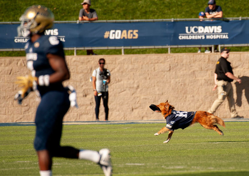 Pint runs with kickoff tee in his mouth.