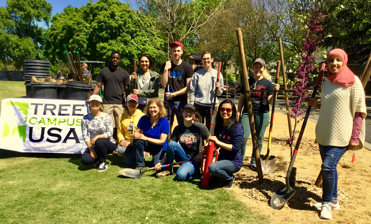 Tree planting crew poses around on of their trees.