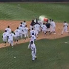 Baseball players celebrate.