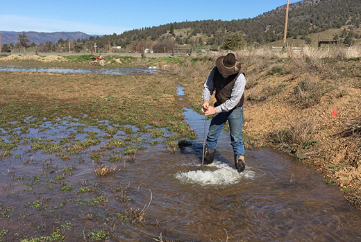 Rancher flooding fields