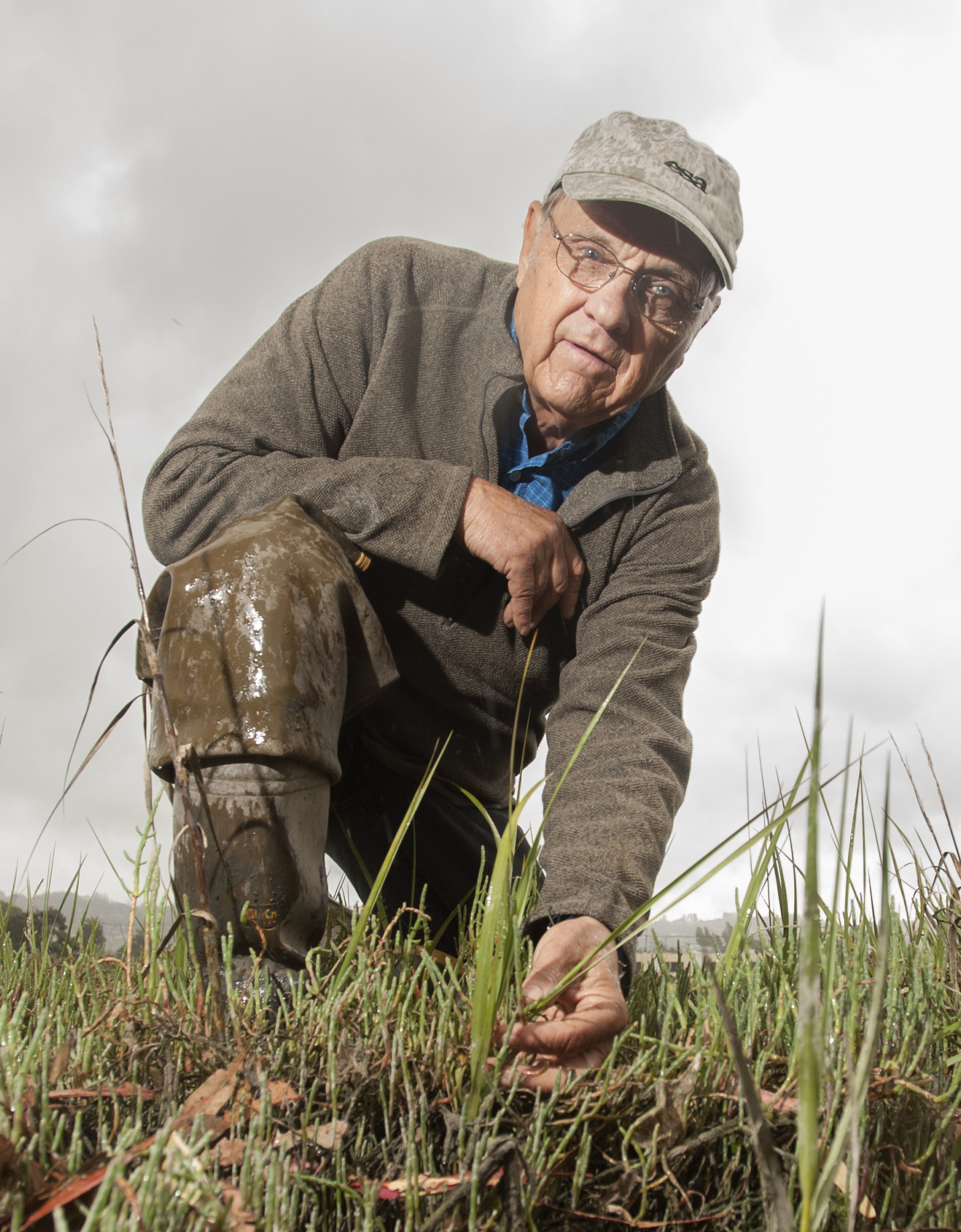 A male professor in a salt marsh